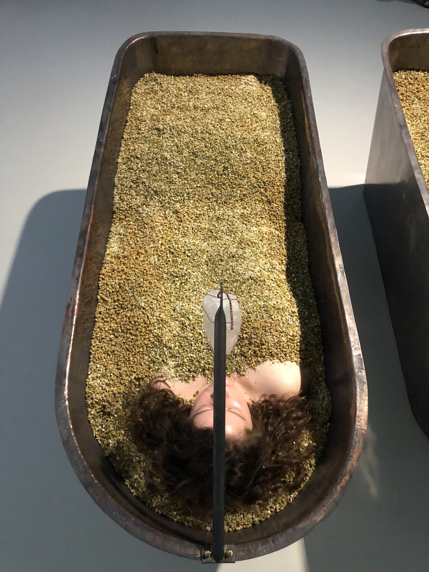 Reprogramming Levitation Module